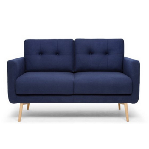 stylish navy sofa
