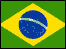 brazil flag.gif