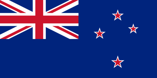 New Zealand bans foreign investors from buying homes