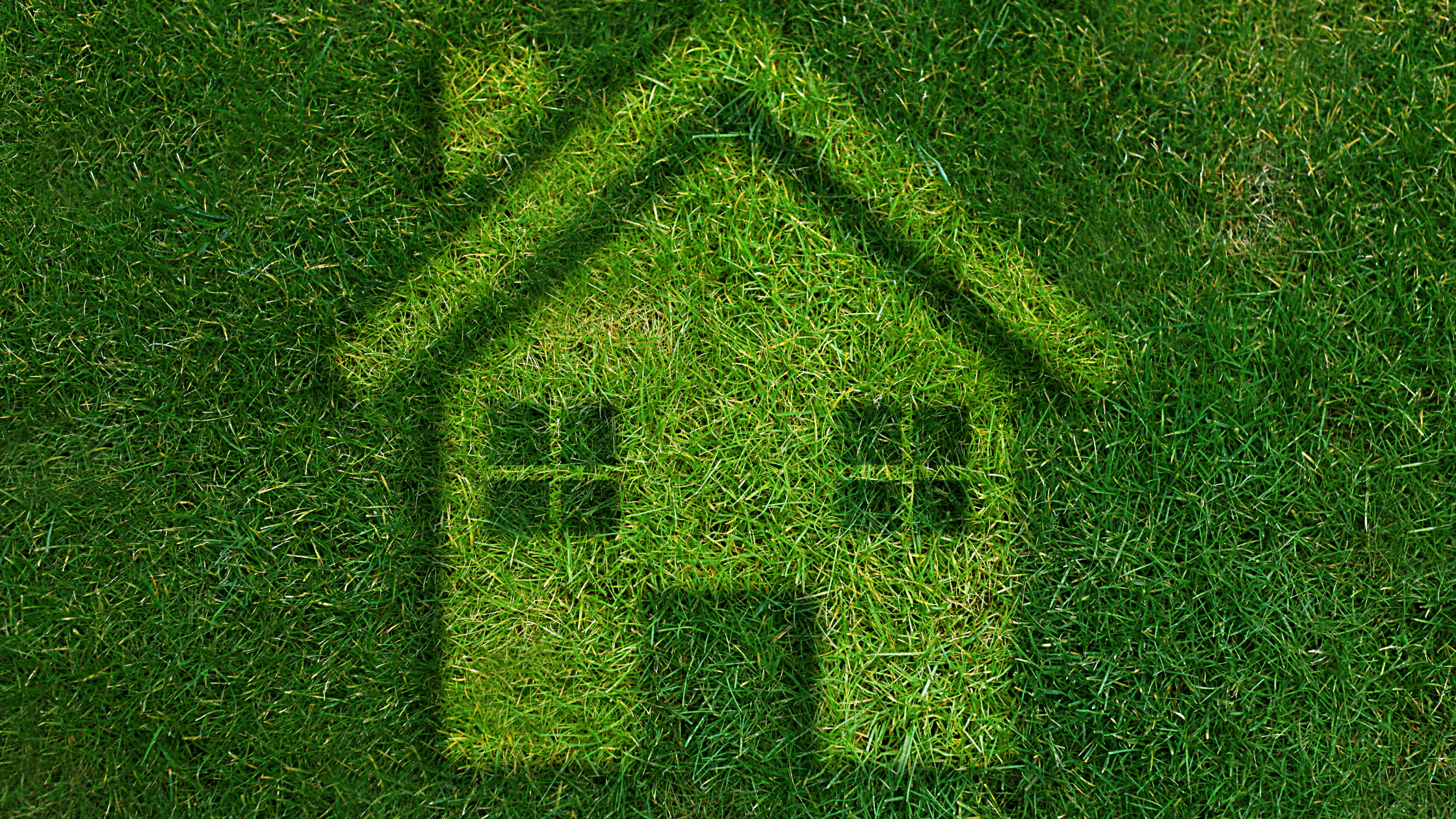 Don’t miss out on the Government’s Green Homes Grant!
